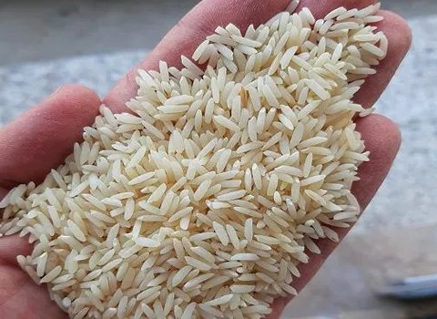 https://shp.aradbranding.com/فروش برنج طارم دم سیاه + قیمت خرید به صرفه